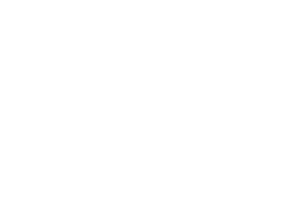 Điện lực Hùng Vương